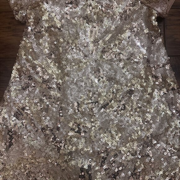 Noralee EUC Sequin Bronze Daisy Dress - Picture 2 of 4